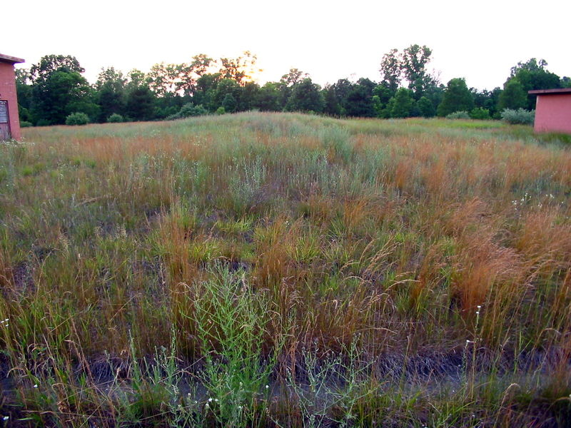 Nike Missile Base Park, Site D-87 - July 2002 Photo (newer photo)